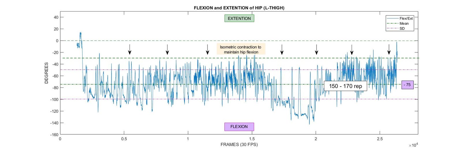 Hip Flexion/Extension Left